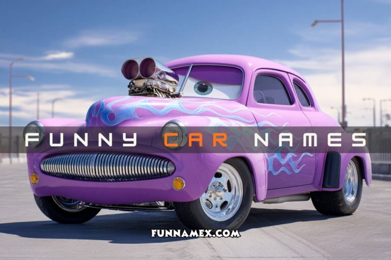 funny car names