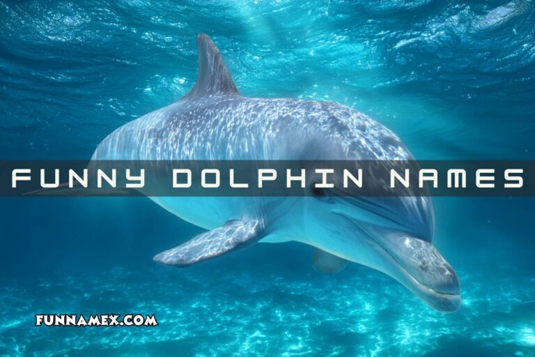 funny dolphin names
