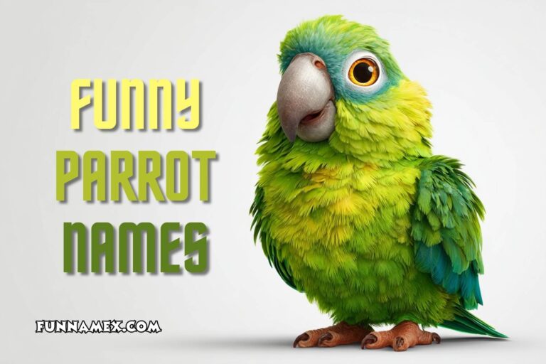 funny parrot names