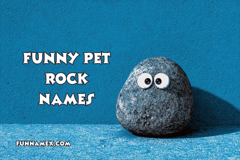 funny pet rock names