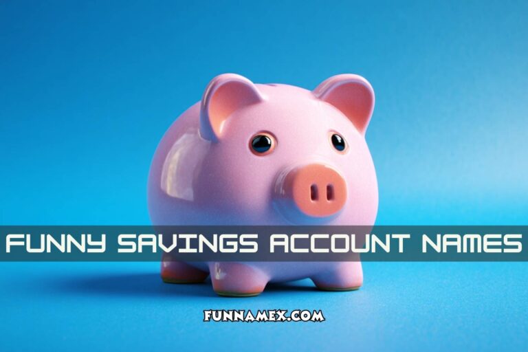 funny savings account names