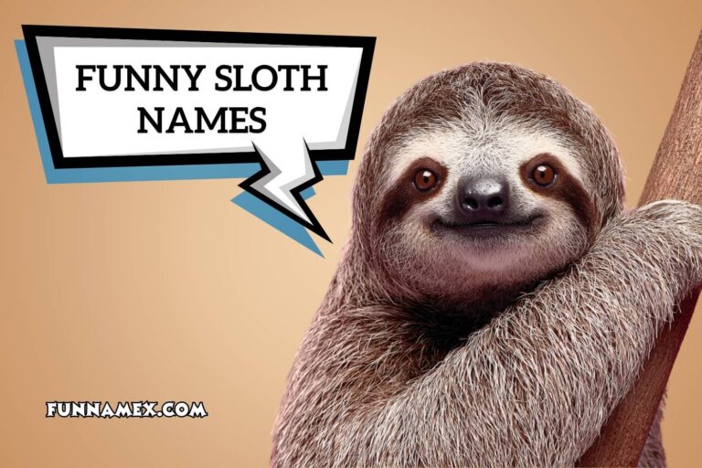 funny sloth names