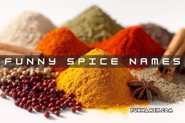 funny spice names
