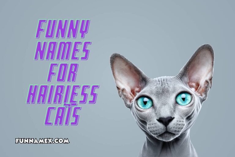 funny names for hairless cats